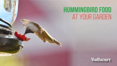 how to make humming bird food recipe garden, how to make sugar water for hummingbirds, hummingbird food recipe sugar water ratio, how to make hummingbird food recipe with sugar, 2 to 1 hummingbird food, hummingbird food recipe without boiling, 3 to 1 ratio hummingbird food, do i need to boil sugar water for hummingbirds, hummingbird nectar recipe 2 cups